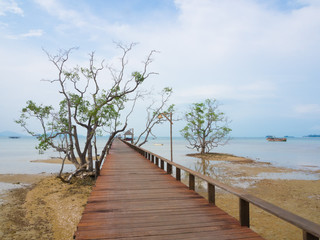 wooden bridge into the sea