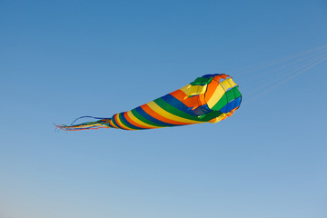 Kite in the air