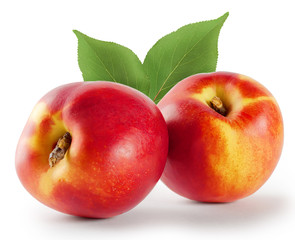 Two ripe juicy nectarine with leaves
