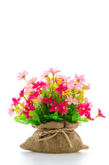 Bouquet flowers isolated on white