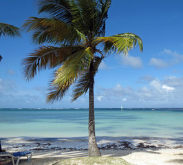 plage et lagon de république dominicaine