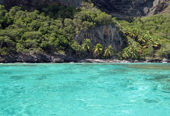 Fototapeta na wymiar dzikie wybrzeże szmaragdowe laguny Karaiby