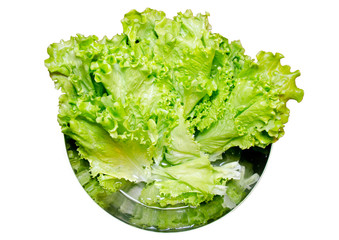 Lettuce leaf