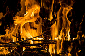 orange fire flames