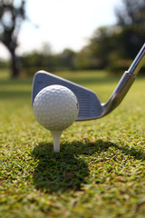 Golf balls and Driver on green grass background