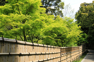 徳川庭園の竹垣