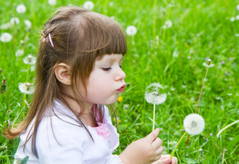 Lovely little blond little girl blowing a dandelion