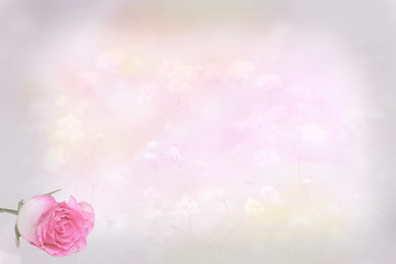 Trauer-Hintergrund mit Rose