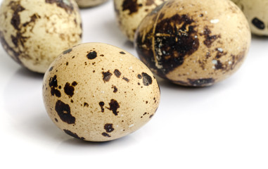 quail eggs,