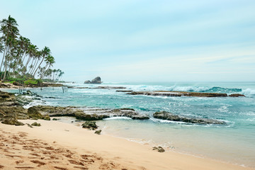 coral reefs in the ocean