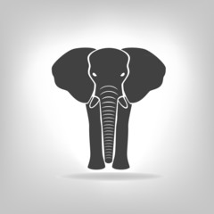 gray emblem of an elephant on a light background