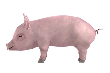 realistic 3d render of little pig