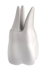 realistic 3d render of human tooth