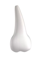 realistic 3d render of human tooth