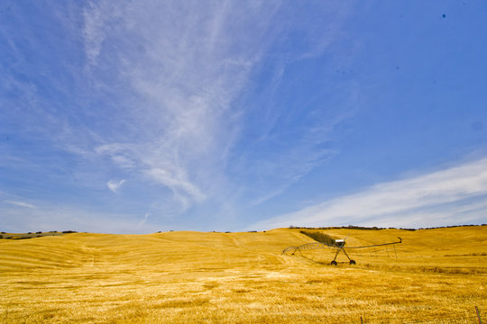 arezzo colli senesi