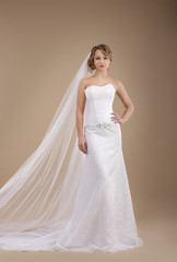 Engagement. Bride wearing Sleeveless Ivory Dress and Veil - 64570813