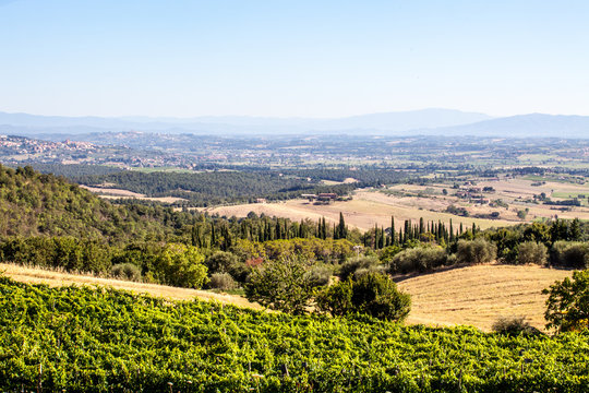 arezzo colli senesi
