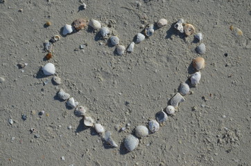 Heart made from seashells