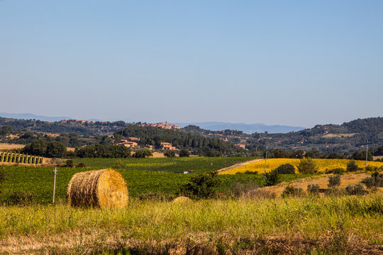 arezzo colli senesi