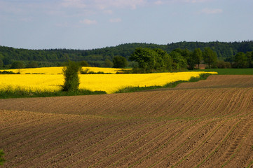 Ackerbau