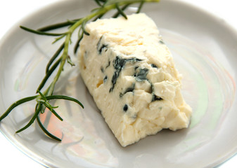 cheese with mould on the plate