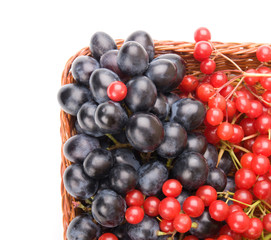 Fresh cranberries and grapes in basket isolated on white backgro