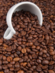 A white cup with many coffee beans on coffe background