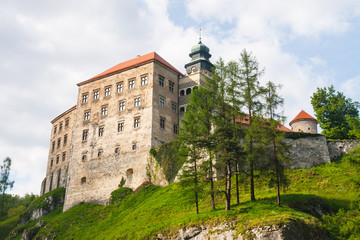 Fototapeta na wymiar Castle Pieskowa Skala in National Ojcow Park, Poland