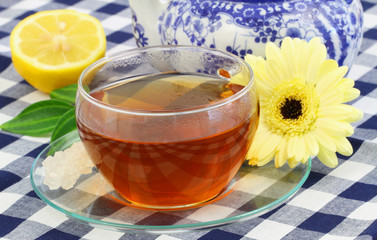 Cup of tea, lemon and cream gerbera daisy