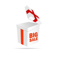 big sale sign on package color vector