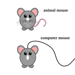 a wired mouse and mini mouse