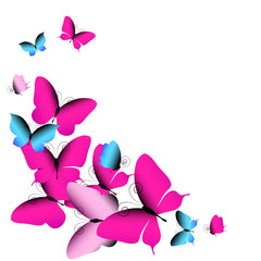 butterflies design