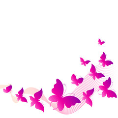 butterflies design