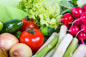 Radieschen, Spargel, Tomaten, Zwiebeln und Salat