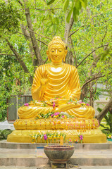Buddha Statue