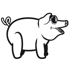 Schwein sonnenbrille