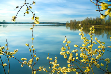 Frühlingslandschaft mit einem blühenden Baum und dem Fluss
