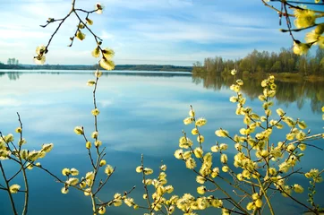Foto op Plexiglas Lente lentelandschap met een bloeiende boom en de rivier