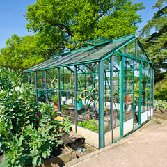 Glasshouse in spring time