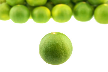Close up green lemon place isolated