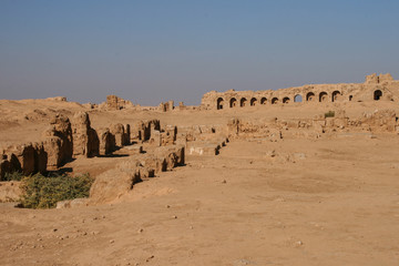Fototapeta na wymiar ruins of resafa