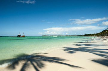 Fototapeta premium playa del sol palma santo domingo caribbean