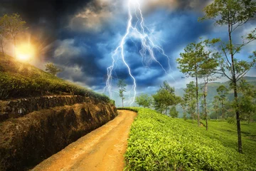 Photo sur Plexiglas Orage tempête au pays du coucher du soleil