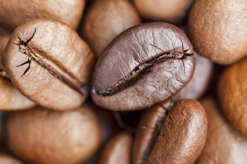 coffee beans