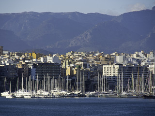 pdm © Stephan Sühling