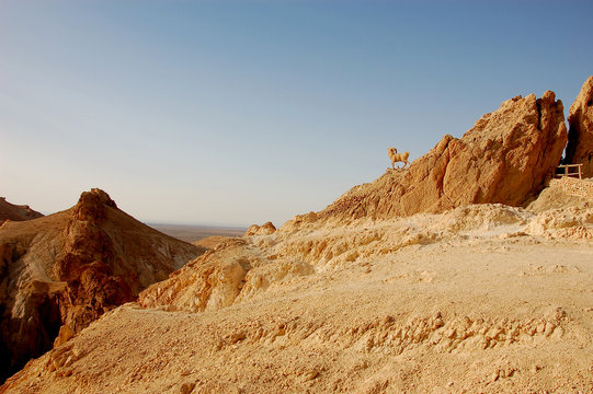 Summertime Sahara desert in Tunisia