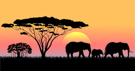 Obraz na płótnie Canvas African savanna an evening landscape