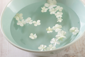 Close up of white hydrangea flowers floating in bowl of water