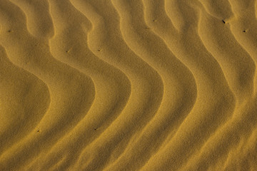 Close-up of sand ripples at sunset