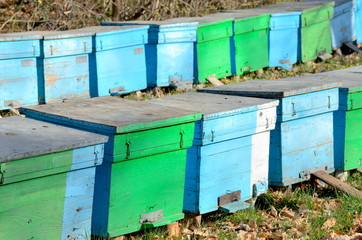 several bee houses in autumn